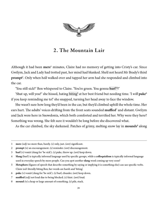 Look Inside The Cadwaladr Quests 11+ Vocabulary Novel Book 2: Race for the Gold