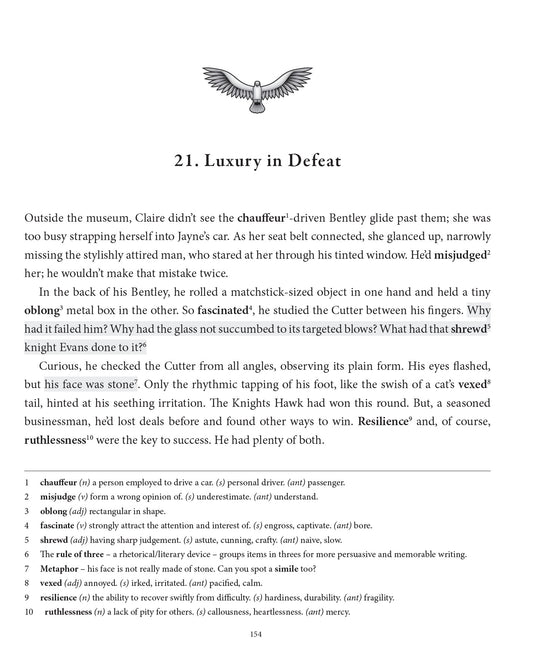 look Inside The Cadwaladr Quests 11+ Vocabulary Novel Book 1: Tangled Time