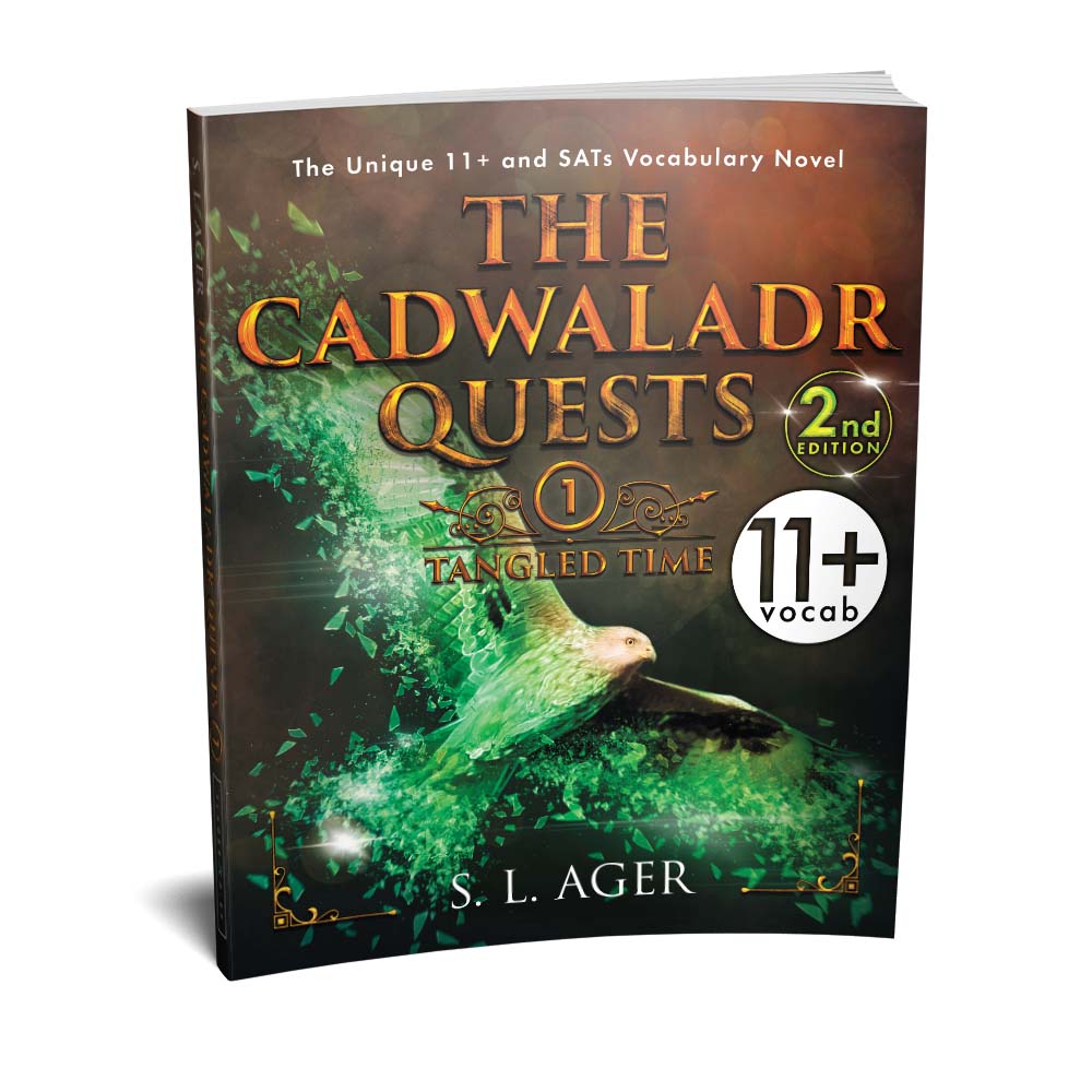 The Cadwaladr Quests 11+ Vocabulary Novel Book 1: Tangled Time